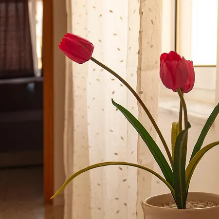 Two Bedroom In Bugibba San Pawl il-Baħar